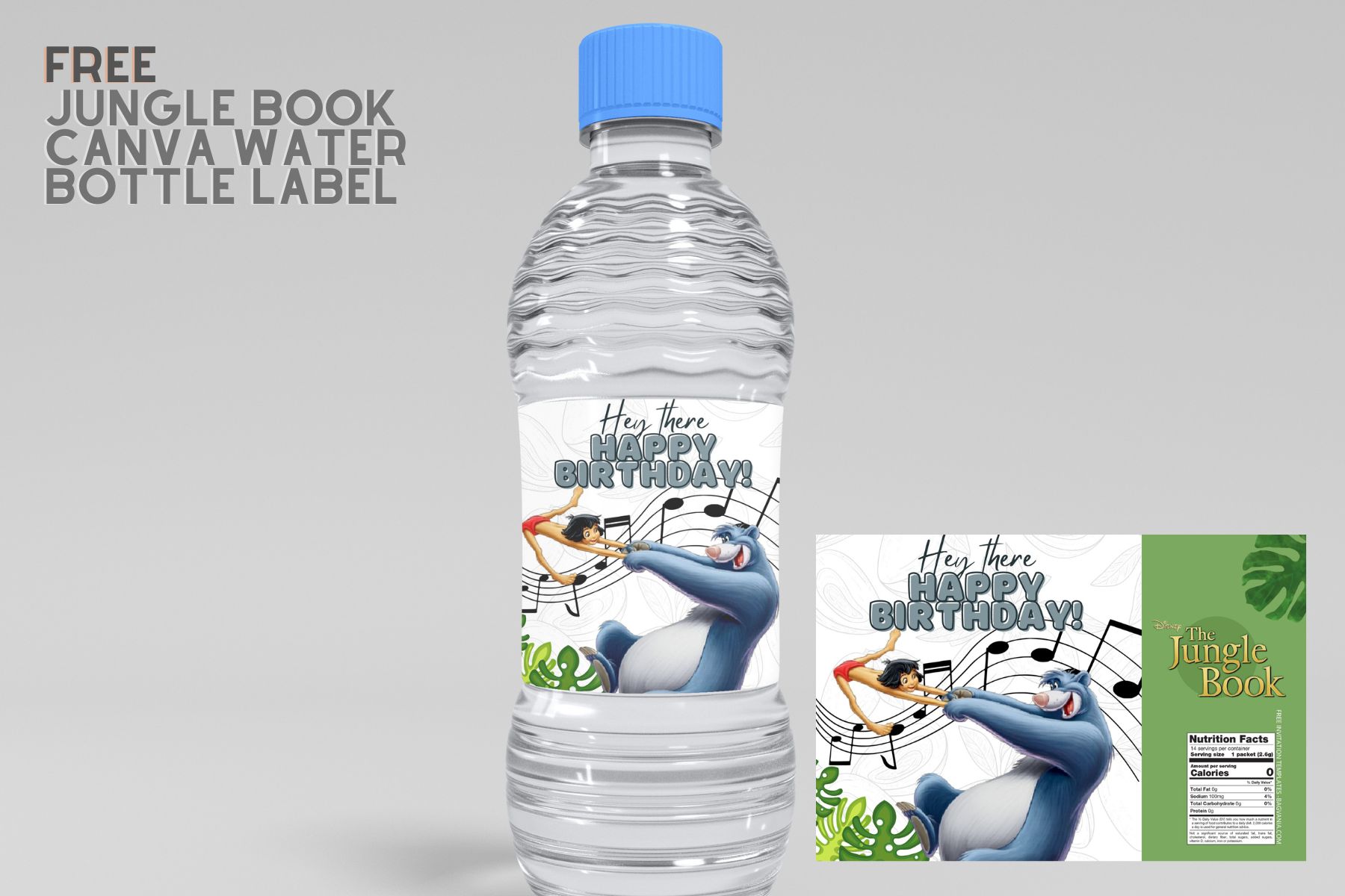 Free) Encanto Canva Birthday Water Bottle Labels in 2023