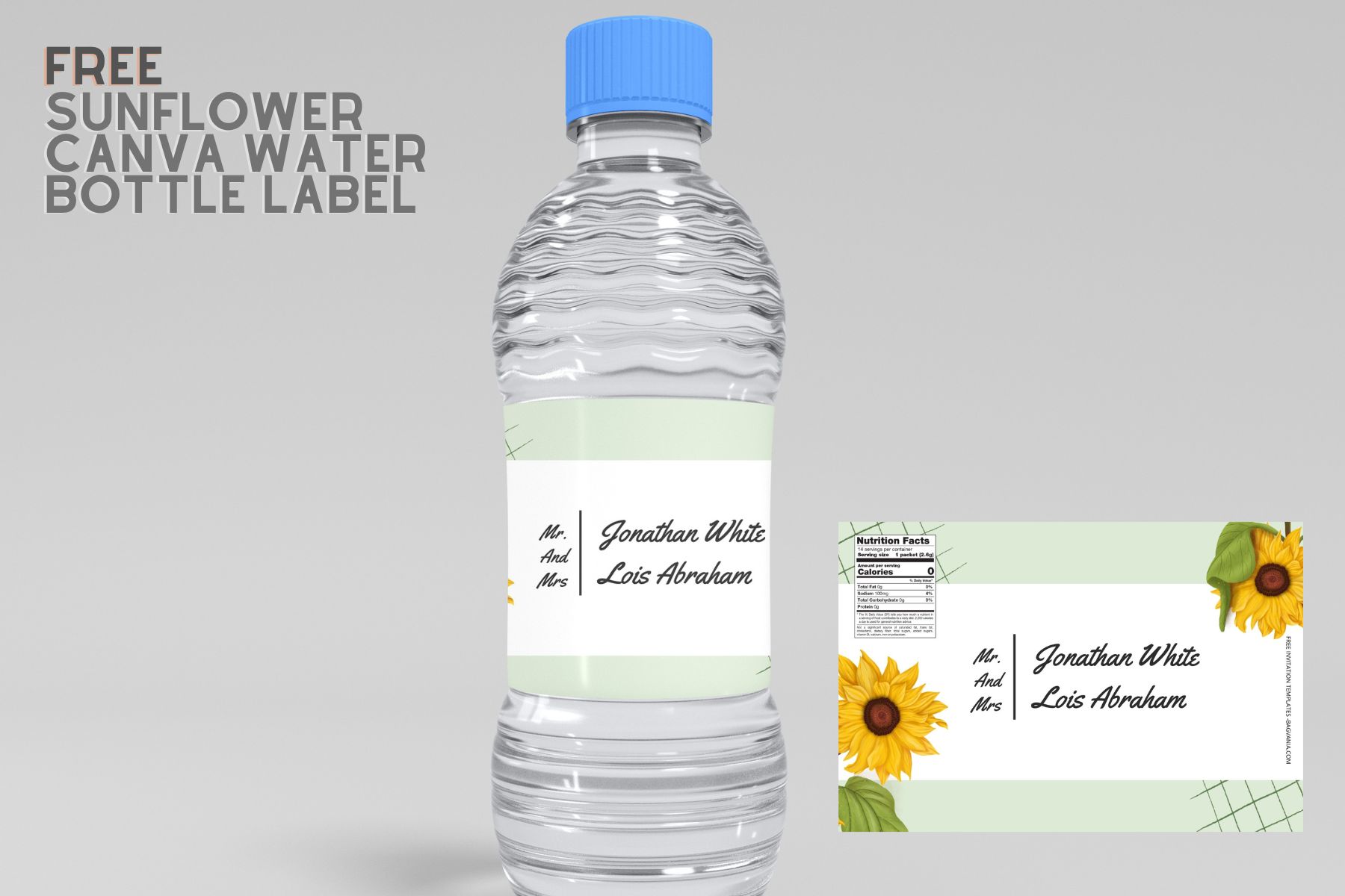 Free) Encanto Canva Birthday Water Bottle Labels in 2023